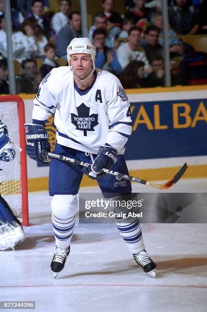 Dave Ellett Toronto Maple Leafs Autographed 8x10 Photo