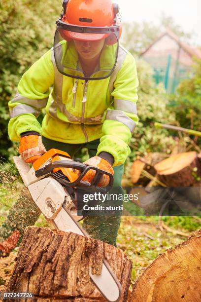 Logging Woman Tree 979 Female Logger Stock Photos, High-Res Pictures, and Images - Getty ...