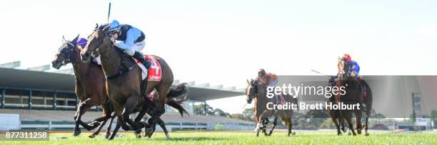 Taddei Tondo ridden by Patrick Moloney wins the Le Pine Funerals Handicap at Ladbrokes Park Lakeside Racecourse on November 22, 2017 in Springvale,...