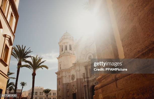 cadiz cathedral facade surrounded by palm trees in andalusia, spain - cadiz province stock pictures, royalty-free photos & images