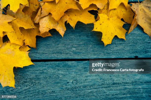 autumn - texture carta stock pictures, royalty-free photos & images