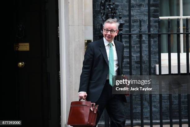 Secretary of State for Environment, Food and Rural Affairs Michael Gove leaves after a cabinet meeting ahead of the Chancellor's annual budget at 10...