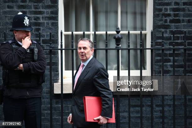 International Trade Secretary Liam Fox leaves after a cabinet meeting ahead of the Chancellor's annual budget at 10 Downing Street on November 22,...