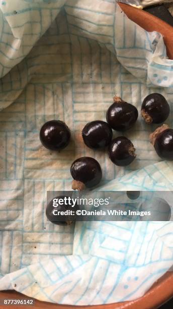 longan - longan stock pictures, royalty-free photos & images