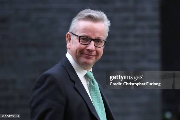 Secretary of State for Environment, Food and Rural Affairs Michael Gove leaves after a cabinet meeting ahead of the Chancellor's annual budget at 10...