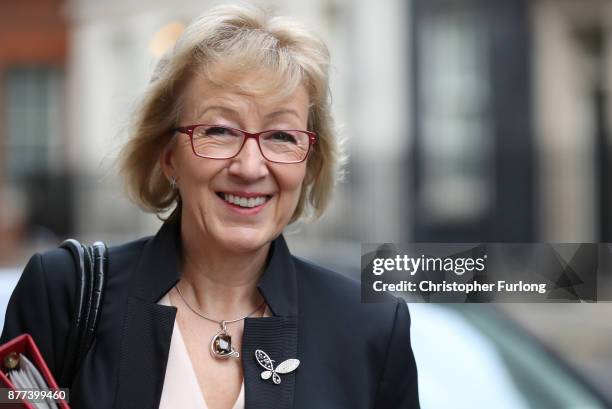 Leader of the House of Commons Andrea Leadsom leaves after a cabinet meeting ahead of the Chancellor's annual budget at 10 Downing Street on November...