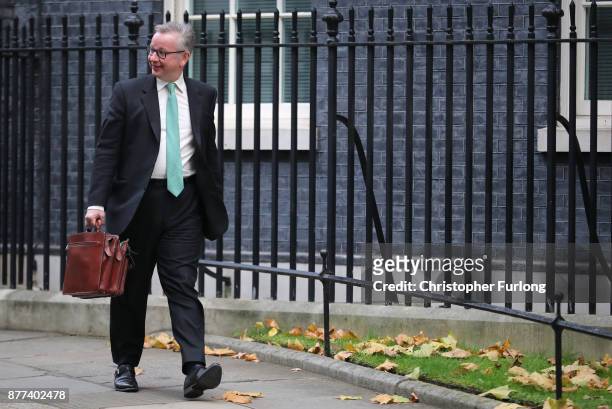 Secretary of State for Environment, Food and Rural Affairs Michael Gove leaves after a cabinet meeting ahead of the Chancellor's annual budget at 10...