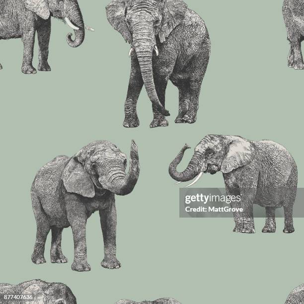 illustrazioni stock, clip art, cartoni animati e icone di tendenza di modello di ripetizione dell'elefante africano - elefante