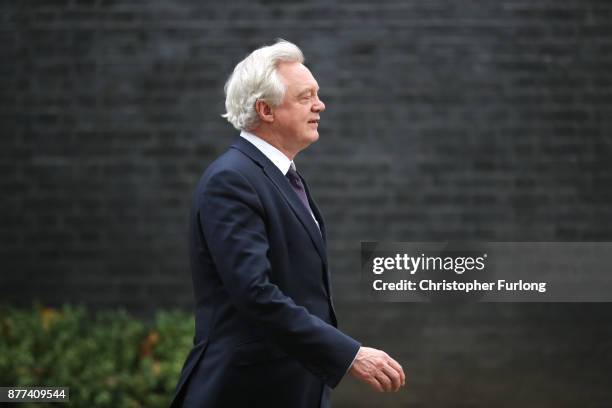 Brexit Secretary David Davis leaves after a cabinet meeting ahead of the Chancellor's annual budget at 10 Downing Street on November 22, 2017 in...