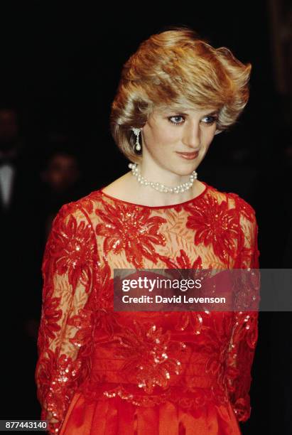 Princess Diana visits the London City Ballet in Oslo, Norway on February 11, 1984