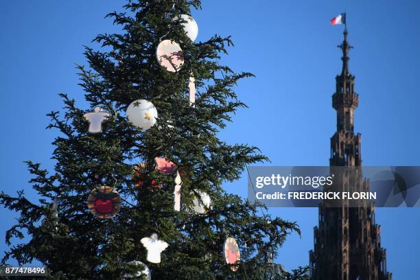 Giant Christmas tree is displayed next to the cathedral on the Kleber Plaza in Strasbourg, eastern France on November 22, 2017.