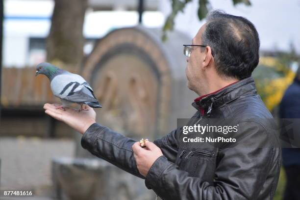 Man feeds a pigeon on his hand at the Kugulu Park during a cold autumn day in Ankara, Turkey on November 22, 2017.