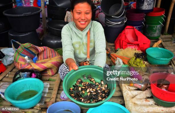 Woman shows fresh water insect for sale at a market in Dimapur, India north eastern state of Nagaland on Wednesday, 22 November 2017.