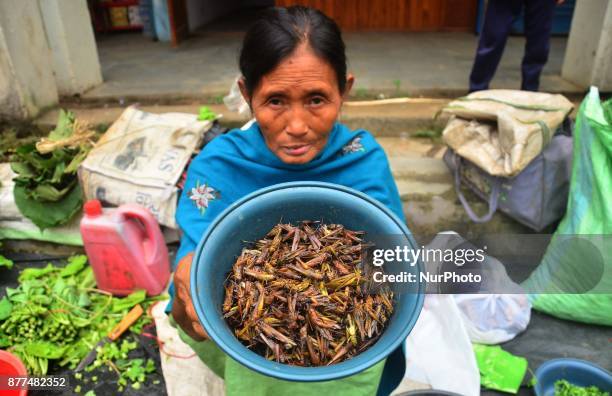 Woman shows dry Grasshopper for sale at a market in Dimapur, India north eastern state of Nagaland on Wednesday, 22 November 2017.