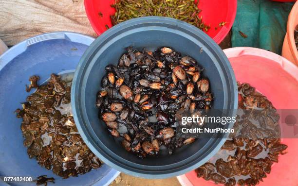 Varieties of insect are put on for sale at a market in Dimapur, India north eastern state of Nagaland on Wednesday, 22 November 2017.