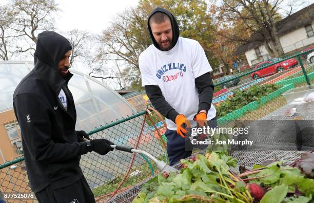 Brandan Wright and Chandler Parsons of the Memphis Grizzlies participates in a Thanksgiving giveaway on November 21, 2017 at Green Leaf Learning Farm...