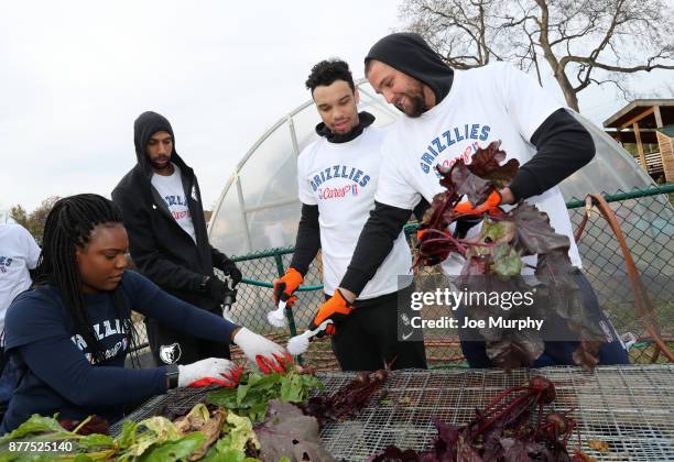 Brandan Wright, Dillon Brooks and Chandler Parsons of the Memphis Grizzlies participates in a Thanksgiving giveaway on November 21, 2017 at Green...