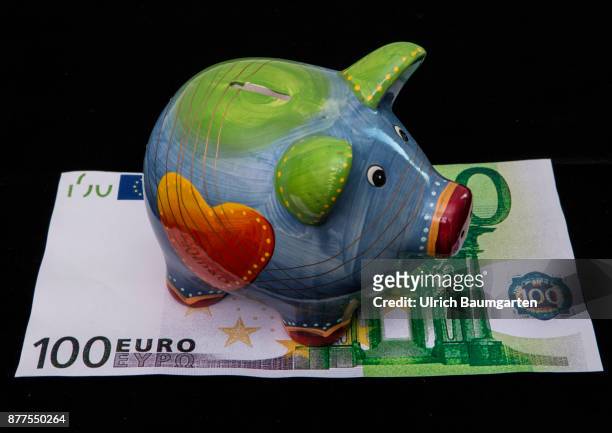 Symbol photo on the topic of saving money. Piggy bank stands on a hundred euro banknote.