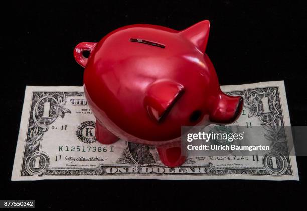 Symbol photo on the topic of saving money. Piggy bank stands on a one dollar banknote.