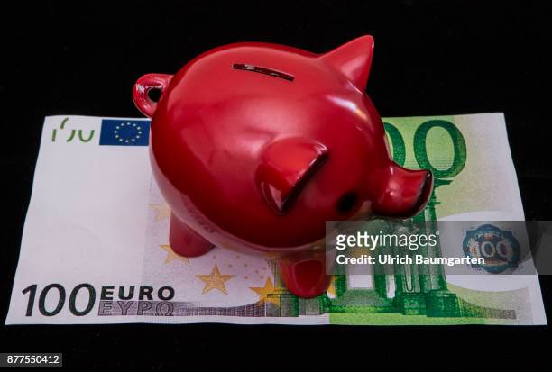 Symbol photo on the topic of saving money. Piggy bank stands on a hundred euro banknote.