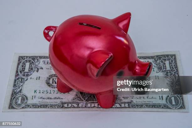 Symbol photo on the topic of saving money. Piggy bank stands on a one dollar banknote.