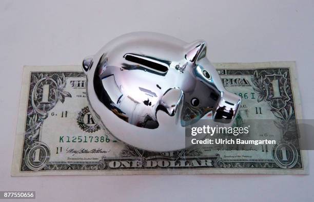 Symbol photo on the topic of saving money. Piggy bank stands on a one dollar banknote.