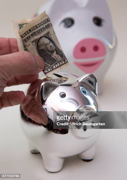 Symbol photo on the topic of saving money. The photo shows differend colored piggy banks and a hand with a one dollar banknote.