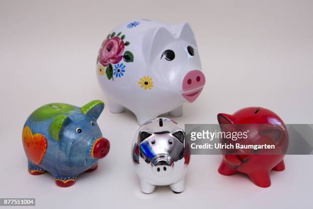Symbol photo on the topic of saving money. The photo shows differend colored piggy banks.