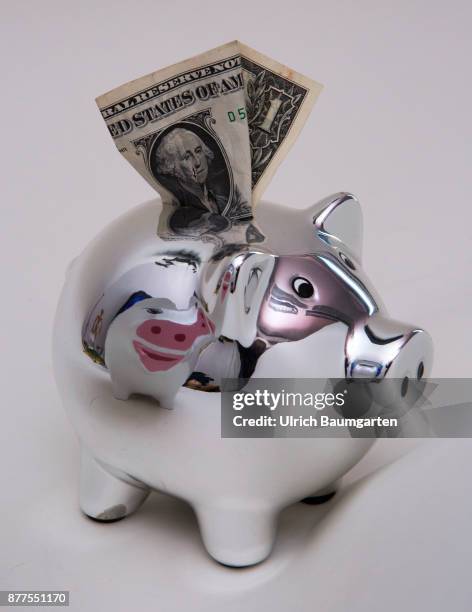 Symbol photo on the topic of saving money. The photo shows a piggy bank with a one dollar banknote.