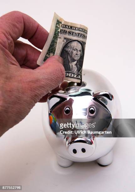 Symbol photo on the topic of saving money. The photo shows a piggy bank and a hand with a one dollar banknote.