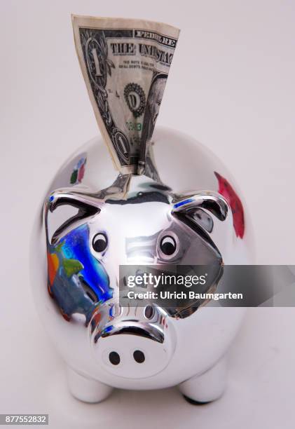 Symbol photo on the topic of saving money. The photo shows a piggy bank with a one dollar banknote.