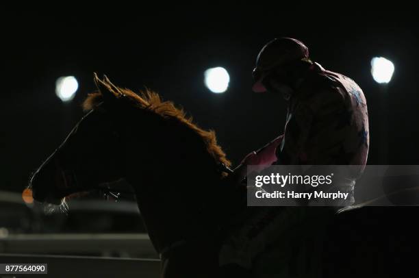 Dougie Costello riding Enchanting Enya prepare for the 100% profit boost at 32Redsport.com novice median auction stakes at Kempton Park on November...