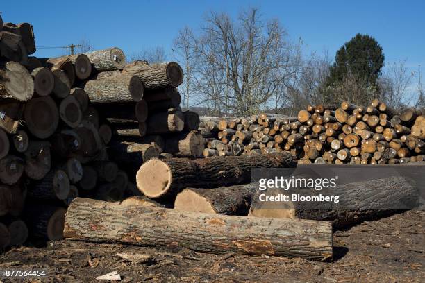 Logs sit in piles before being processed at the Cyblair Sawmill in West Columbia, West Virginia, U.S., on Friday, Nov. 17, 2017. Lumber prices are...