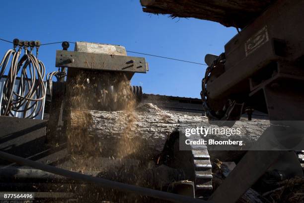 Debarking machine removes bark from logs at the Cyblair Sawmill in West Columbia, West Virginia, U.S., on Friday, Nov. 17, 2017. Lumber prices are...