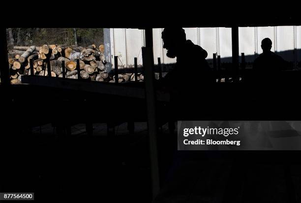 The silhouettes of employees are seen as logs sit in piles before being processed at the Cyblair Sawmill in West Columbia, West Virginia, U.S., on...