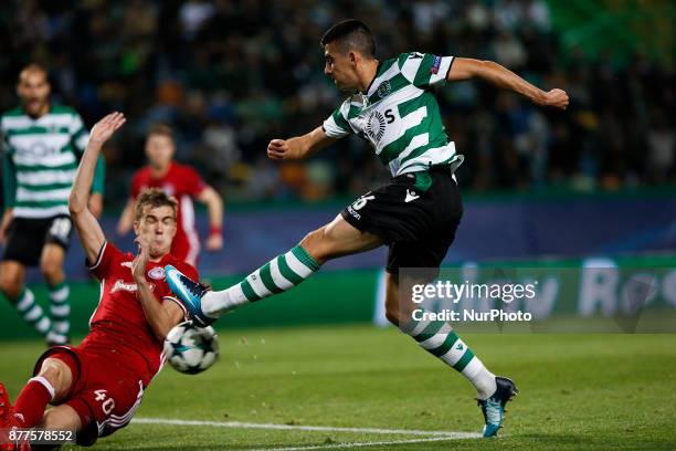 Sporting's midfielder Rodrigo Battaglia vies for the ball with \Olympiakos's defender Bjorn Engels during Champions League 2017/18 match between...