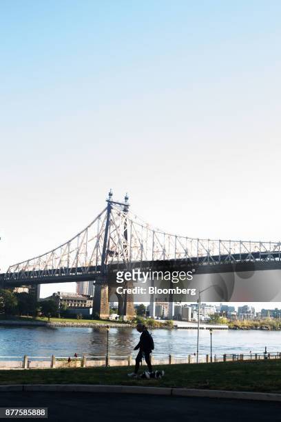 The Ed Koch Queensboro Bridge stands as a pedestrian walks along the East River on Roosevelt Island in New York, U.S., on Tuesday, Oct. 17, 2017....