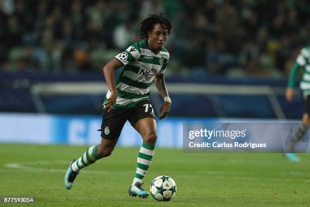 Sporting CP forward Gelson Martins from Portugal during the UEFA Champions League match between Sporting CP and Olympiakos Piraeus at Estadio Jose...