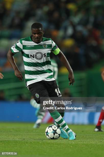 Sporting CP midfielder William Carvalho from Portugal during the UEFA Champions League match between Sporting CP and Olympiakos Piraeus at Estadio...