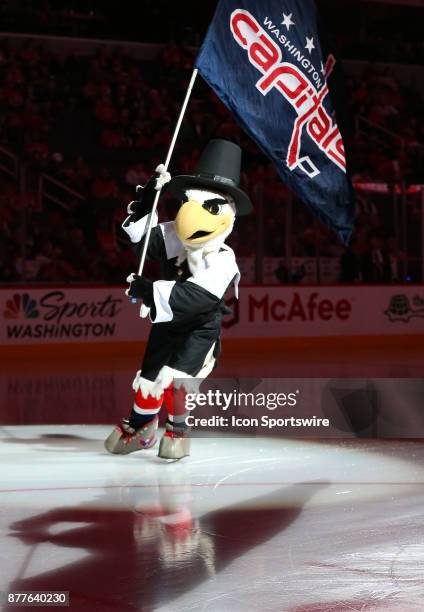 Capitals mascot Slapshot parades around the rink in a Pilgrim's Thanksgiving costume before a NHL game between the Washington Capitals and the Ottawa...