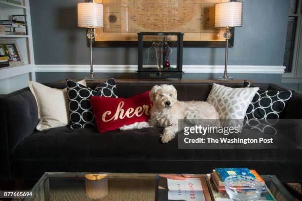 Subtle holiday decorations such as a bright red pillow and an ornament placed on the gold scale grace the living room couch where Lucy, a Wheaton...