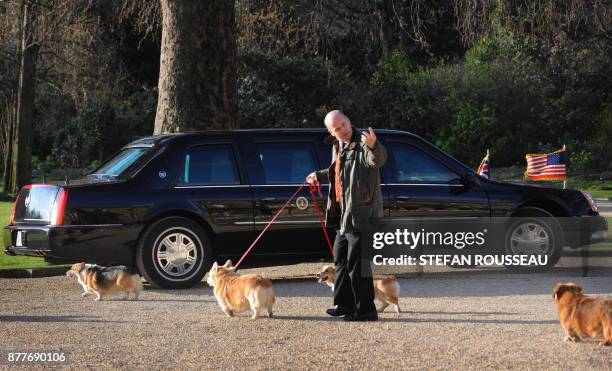 The Corgis of Britain's Queen Elizabeth II are taken for a walk past US President Barack Obama's car while he has a private audience with the Queen...