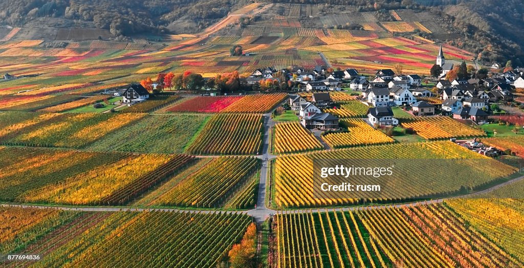 Mosel valley vineyards near Beilstein resort at autumn, Rhineland-Palatinate, Germany.