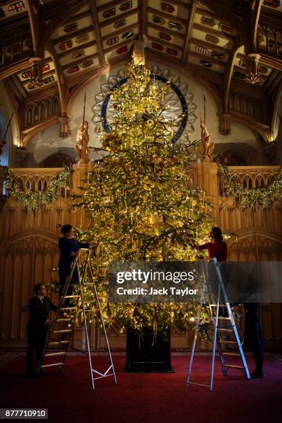 Employees pose with a 20ft Nordmann Fir tree from Windsor Great Park in St George's Hall which has been decorated for the Christmas period on...