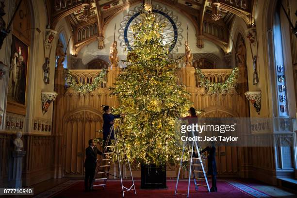 Employees pose with a 20ft Nordmann Fir tree from Windsor Great Park in St George's Hall which has been decorated for the Christmas period on...