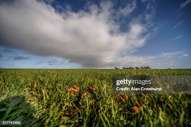 General view as runners race down the back straight at Wincanton racecourse on November 23, 2017 in Wincanton, United Kingdom.