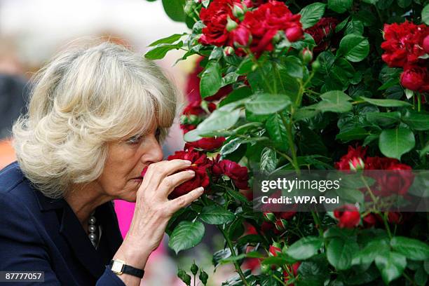 Camilla, Duchess of Cornwall, smells a 'Highgrove' rose, presented by grower Peter Beales during a visit to the Chelsea Flower Show on May 18, 2009...