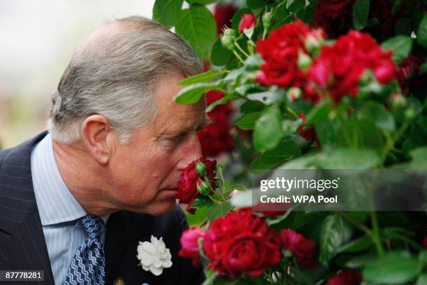 Prince Charles, Prince of Wales smells a 'Highgrove' rose, presented by grower Peter Beales during a visit to the Chelsea Flower Show on May 18, 2009...