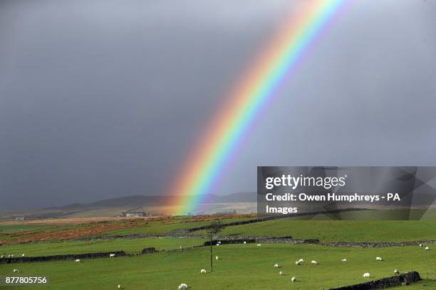 Rainbow over fields near Middleton-in-Teesdale in the North Pennines.