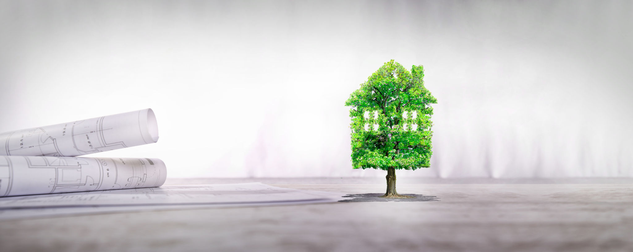 real estate project,Green home , ecological house real estate project,Green home , ecological house